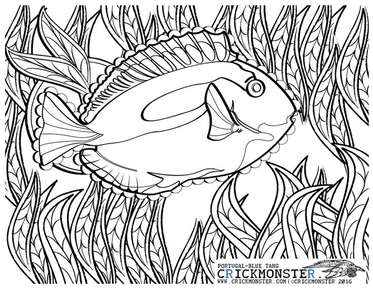 Azores coloring #4, Download drawings