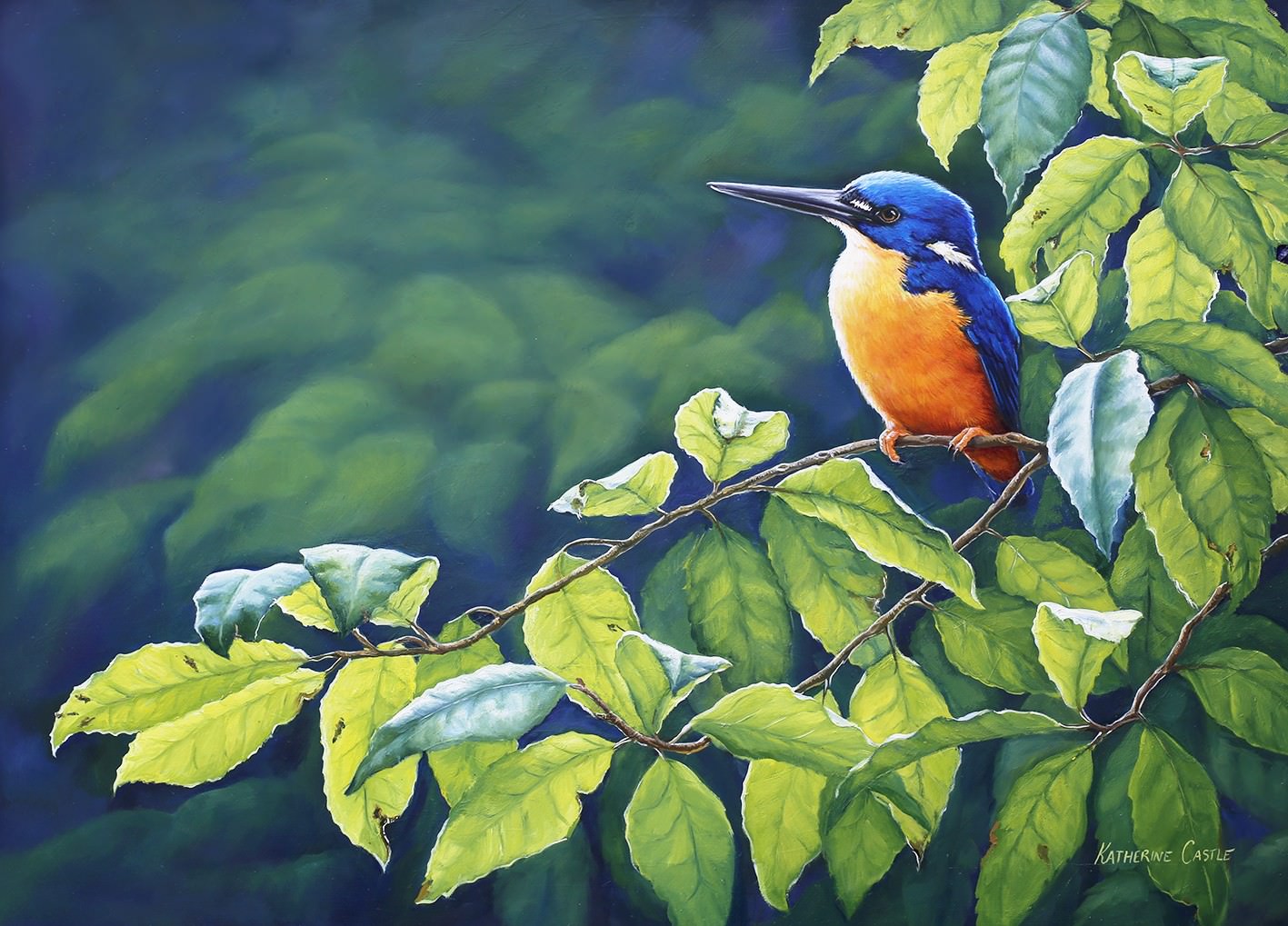 Azure Kingfisher svg #4, Download drawings
