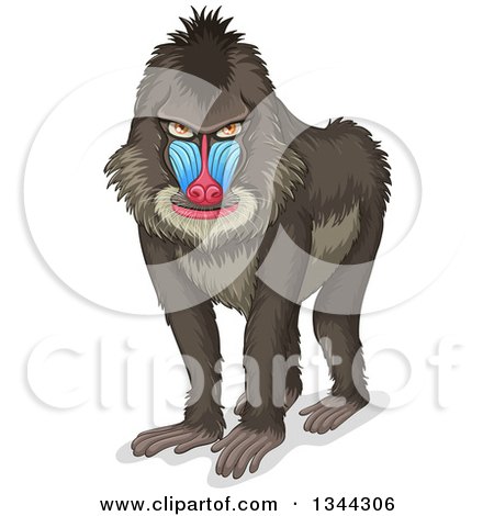Baboon clipart #6, Download drawings