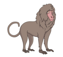 Baboon clipart #17, Download drawings