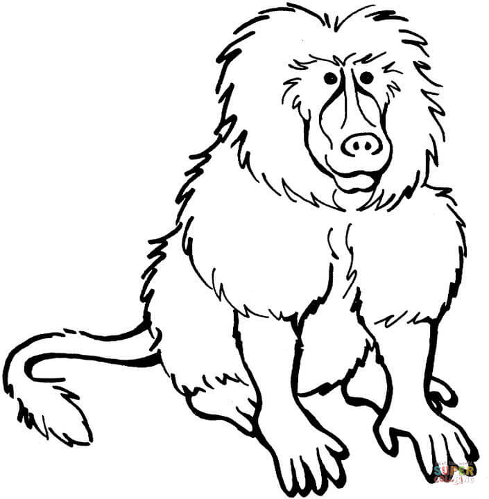 Baboon coloring #17, Download drawings