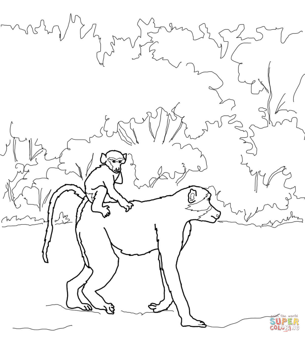 Baboon coloring #13, Download drawings