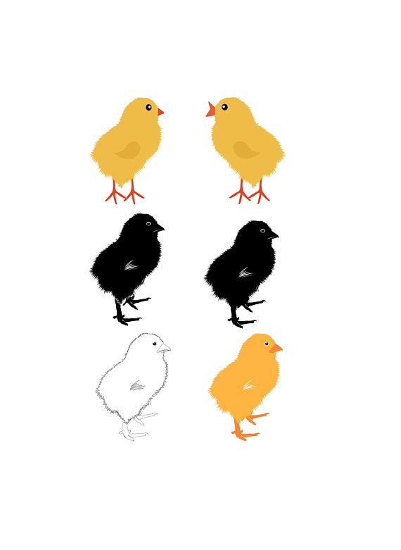 baby chick svg #182, Download drawings