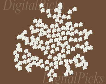 Baby's Breath clipart #1, Download drawings