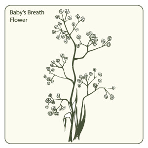 Baby's Breath svg #16, Download drawings