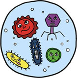 Bacteria clipart #15, Download drawings