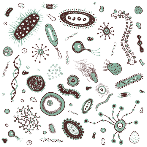 Bacteria clipart #10, Download drawings