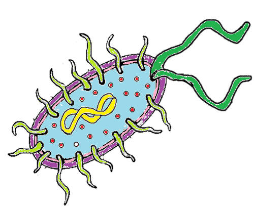Bacteria coloring #11, Download drawings