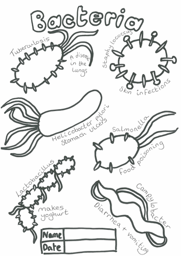 Bacteria coloring #4, Download drawings
