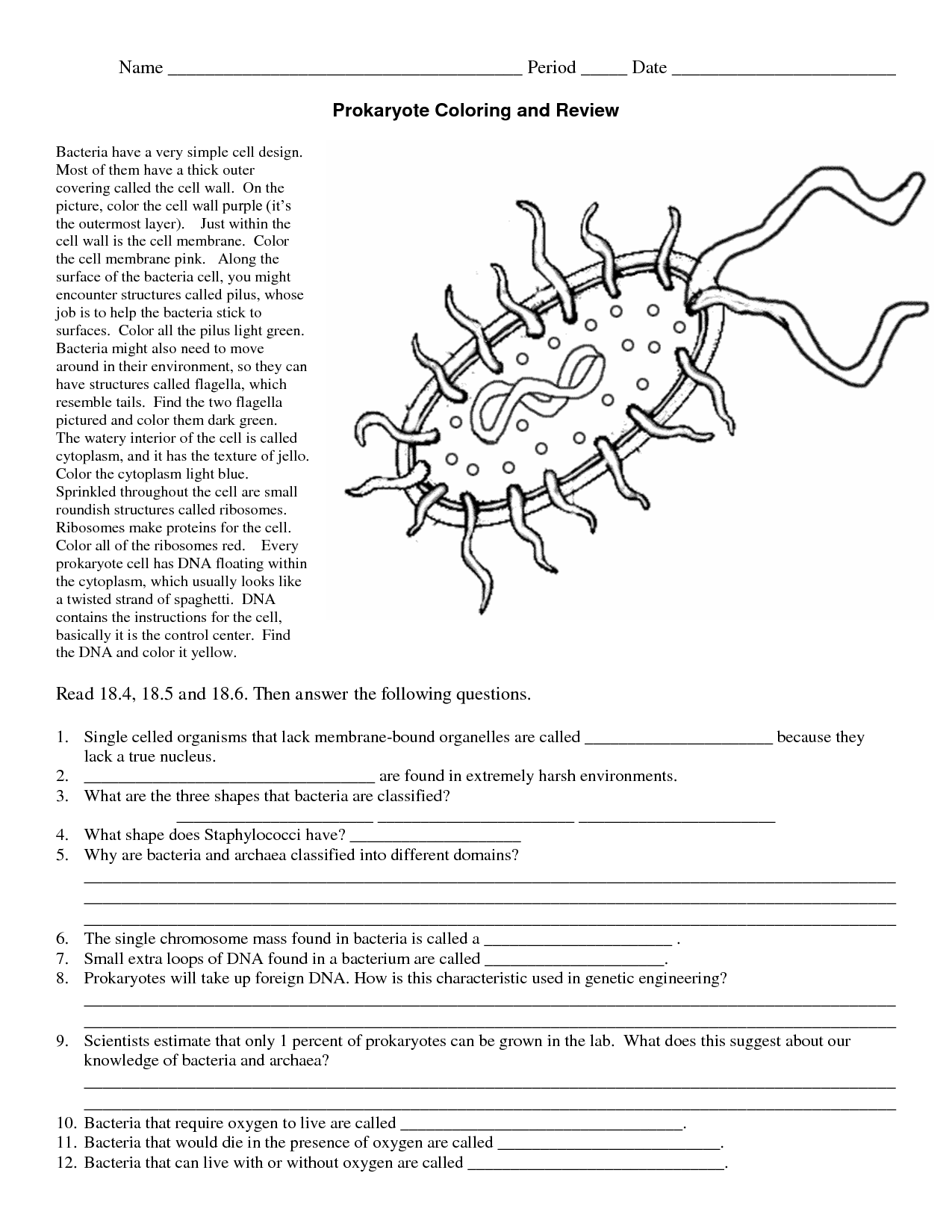 Bacteria coloring #9, Download drawings