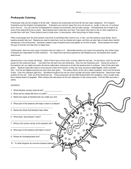 Bacteria coloring #5, Download drawings