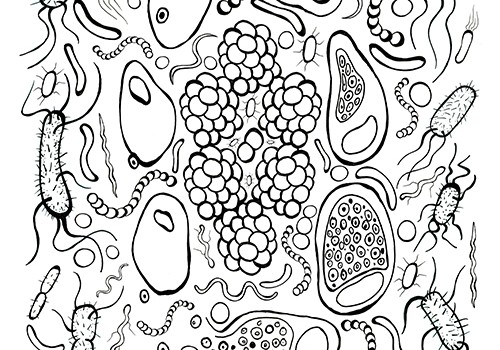 Bacteria coloring #7, Download drawings