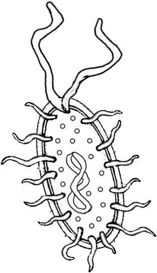 Bacteria coloring #17, Download drawings