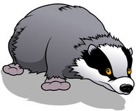 Badger clipart #6, Download drawings