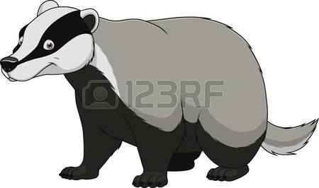 Badger clipart #17, Download drawings