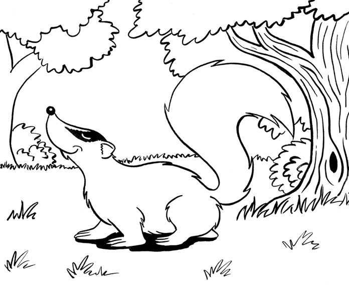 Badger coloring #11, Download drawings