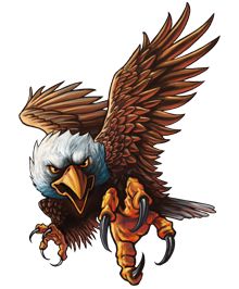 Bald Eagle clipart #2, Download drawings