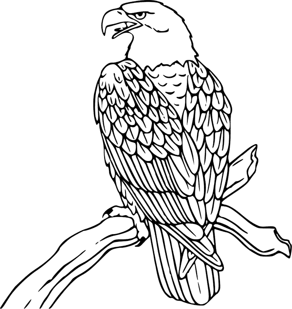 Bald Eagle coloring #16, Download drawings