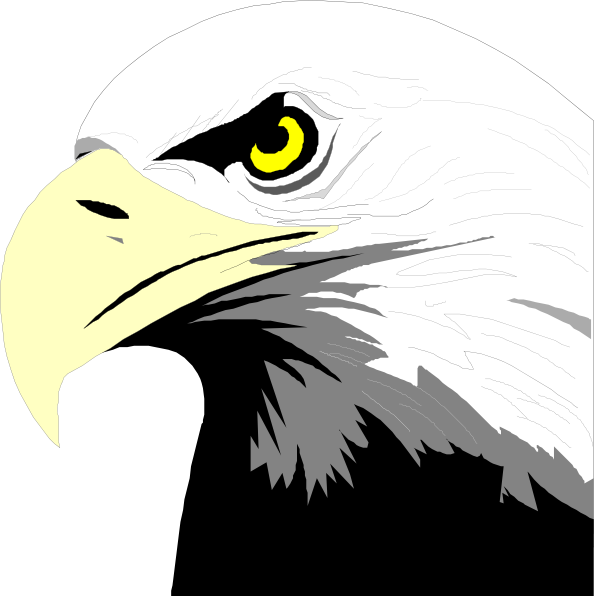 Bald Eagle svg #10, Download drawings