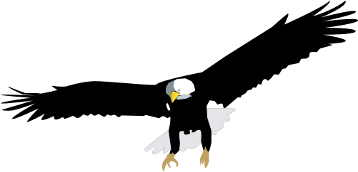 Sea Eagle svg #7, Download drawings