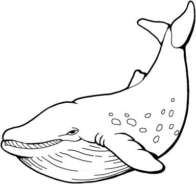 Baleine coloring #2, Download drawings
