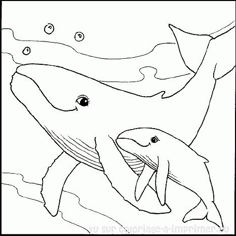 Baleine coloring #20, Download drawings