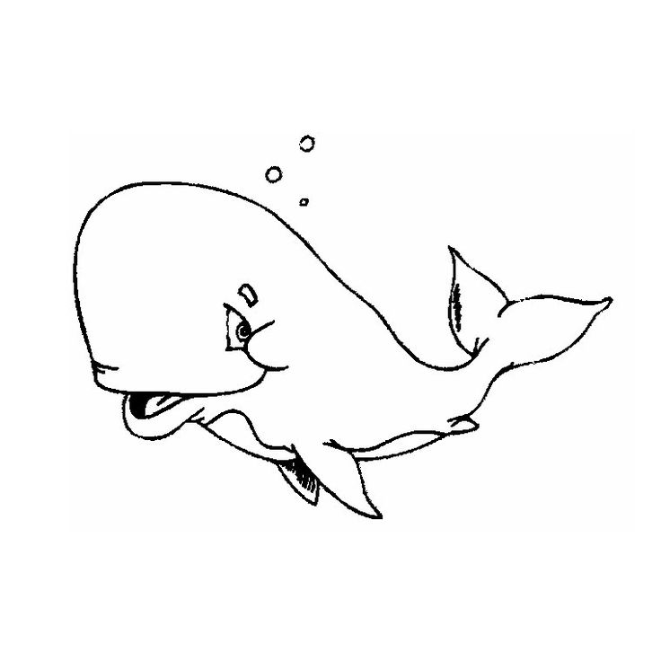 Baleine coloring #12, Download drawings