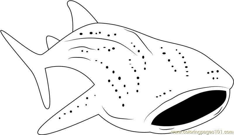 Baleine coloring #18, Download drawings