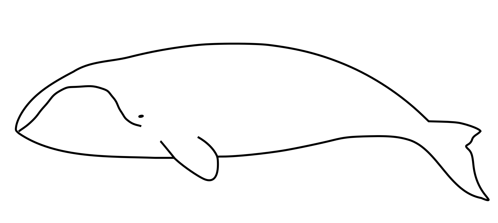 Baleine svg #19, Download drawings
