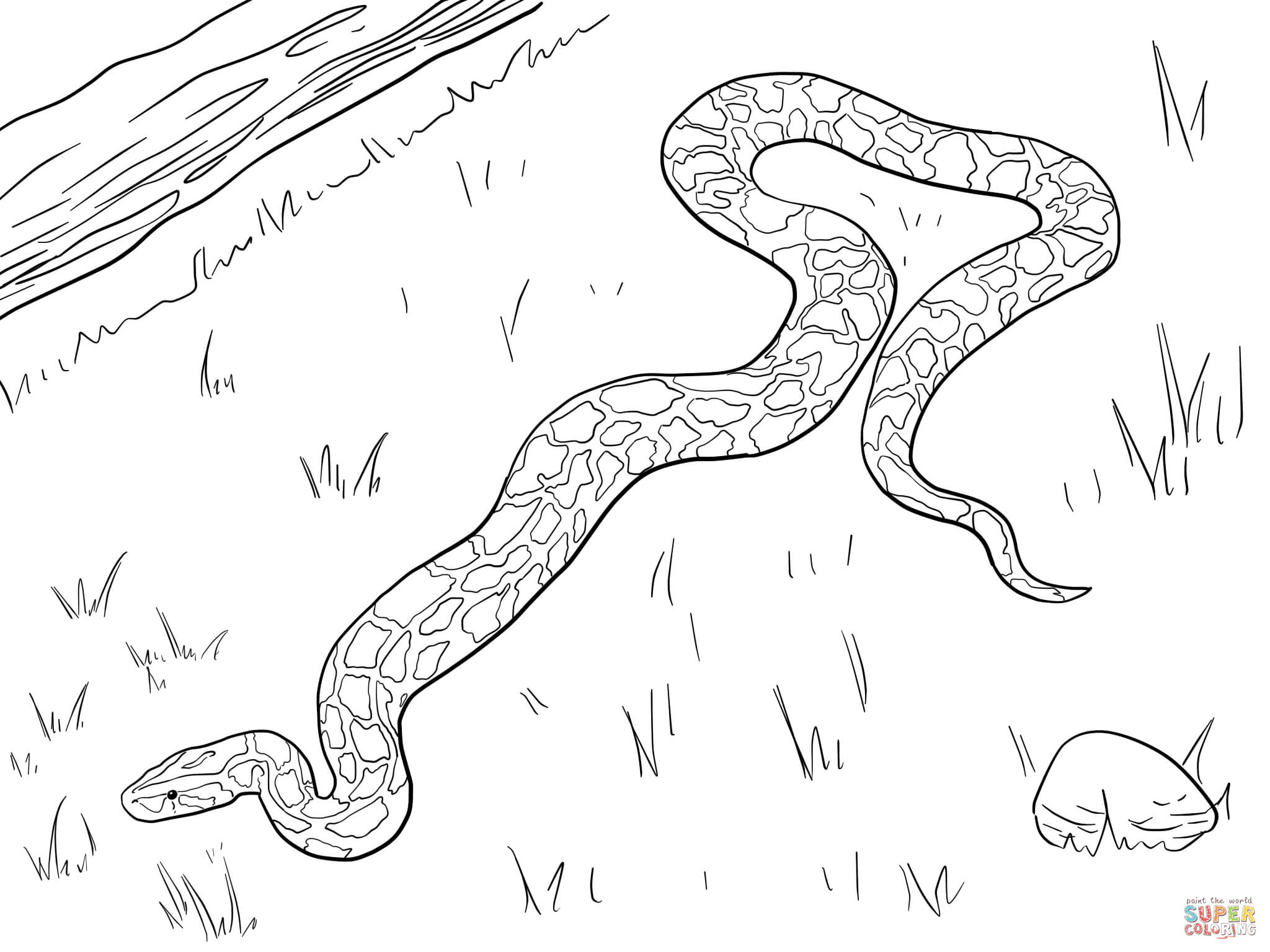 White Python coloring #18, Download drawings