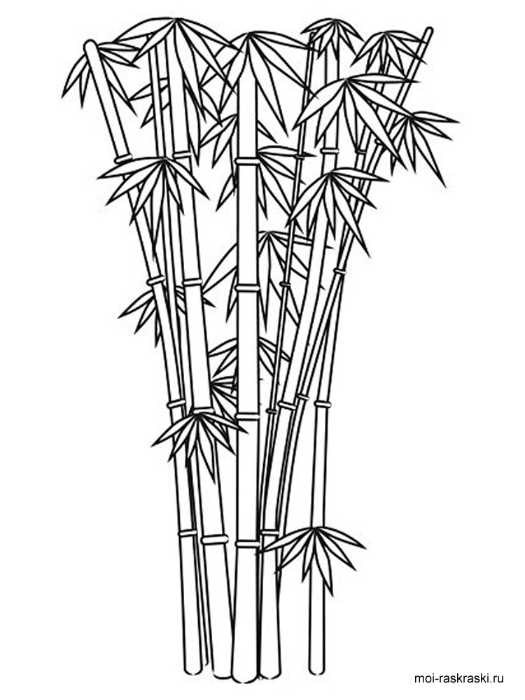 Bamboo coloring #5, Download drawings