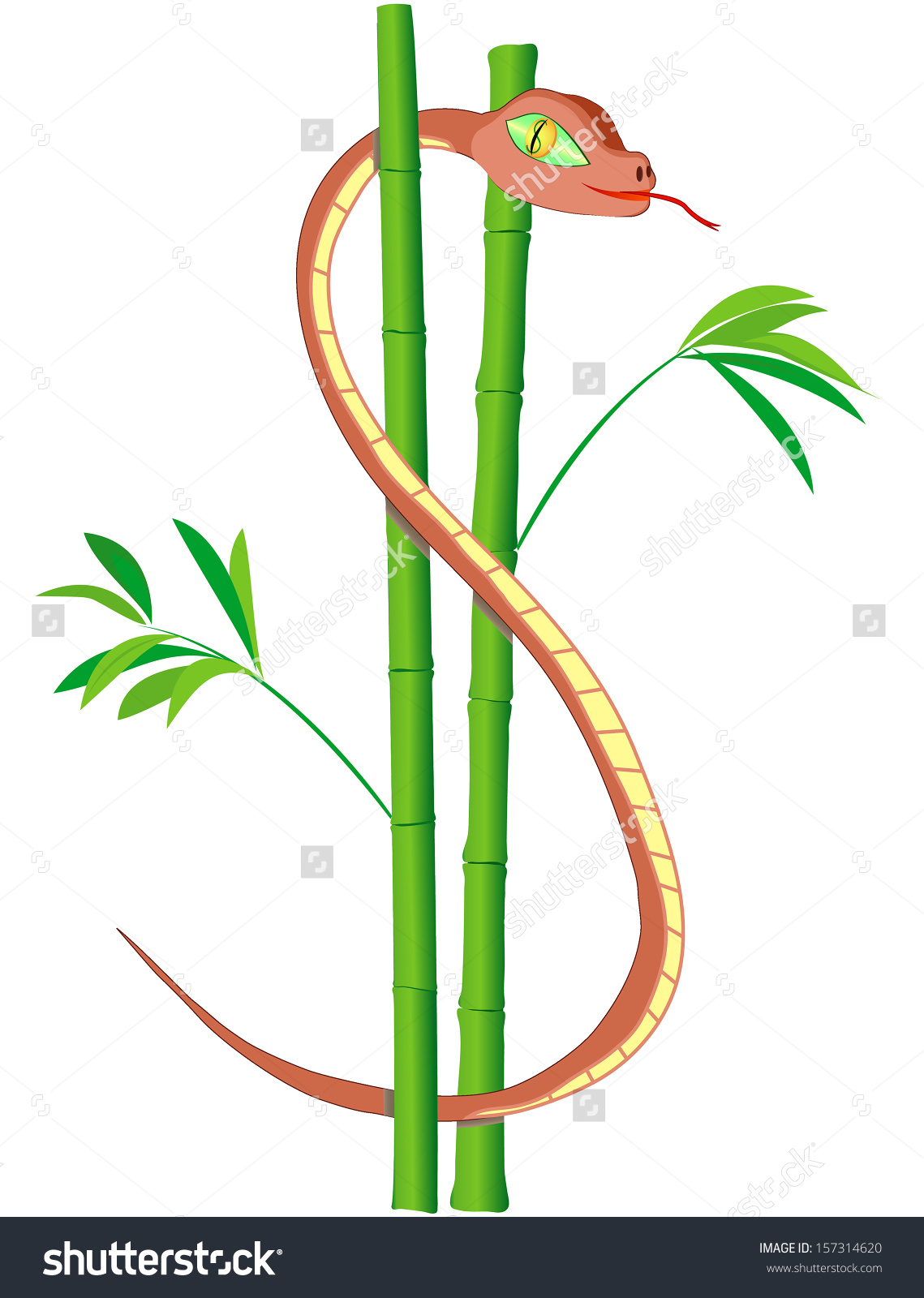 Bamboo Snake clipart #3, Download drawings
