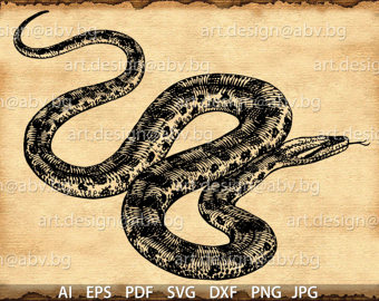 Bamboo Snake svg #16, Download drawings