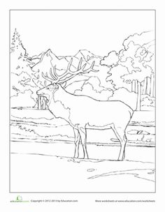 Banff coloring #12, Download drawings