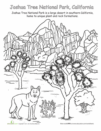 Joshua Tree coloring #19, Download drawings