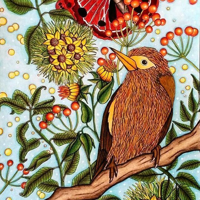 Banksia coloring #14, Download drawings