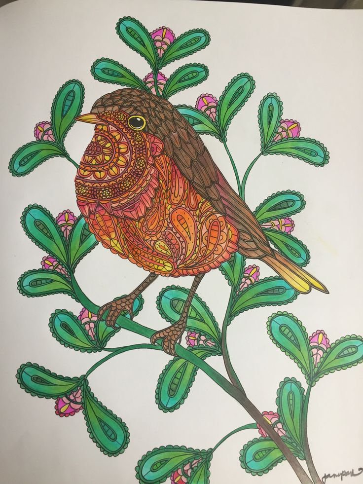 Banksia coloring #9, Download drawings