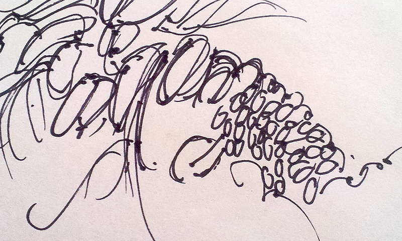 Banksia coloring #3, Download drawings