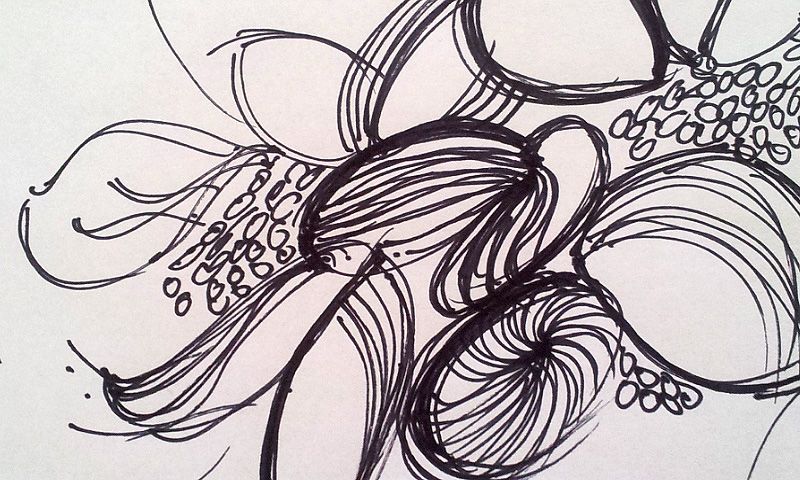 Banksia coloring #1, Download drawings
