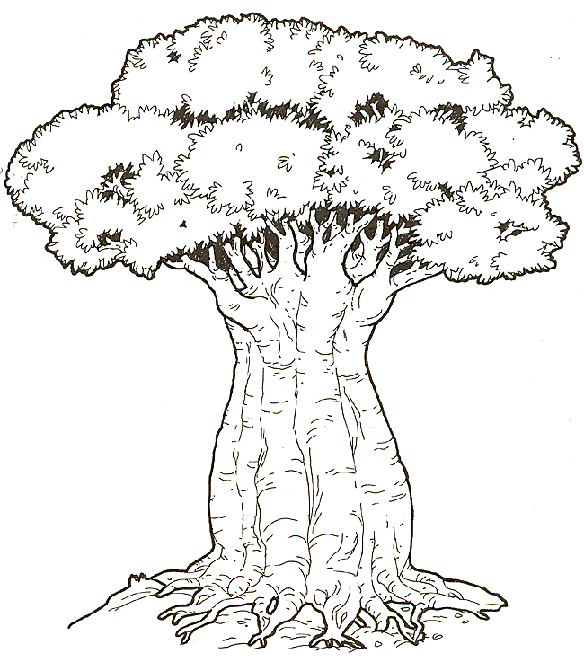 Baobab Tree coloring #17, Download drawings