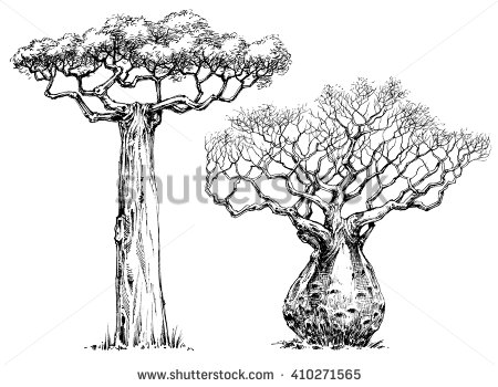 Baobab Tree coloring #19, Download drawings