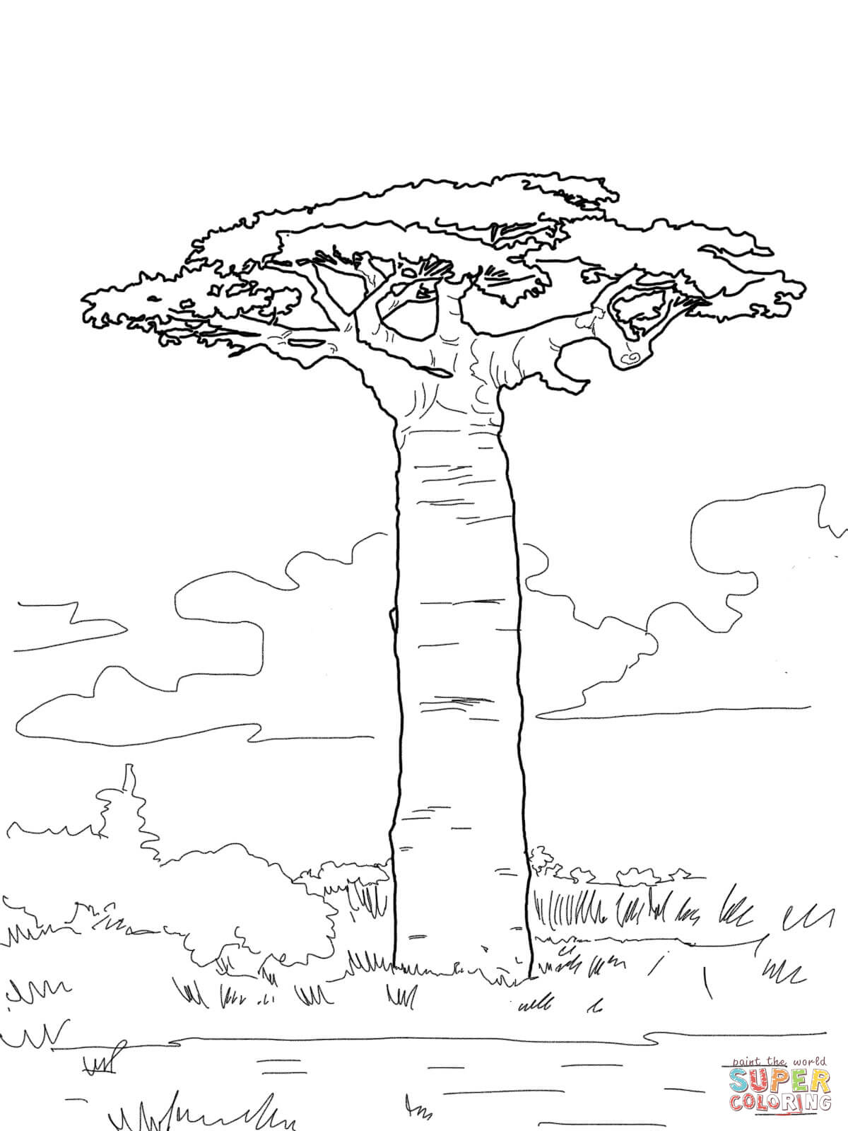 Baobab Tree coloring #5, Download drawings