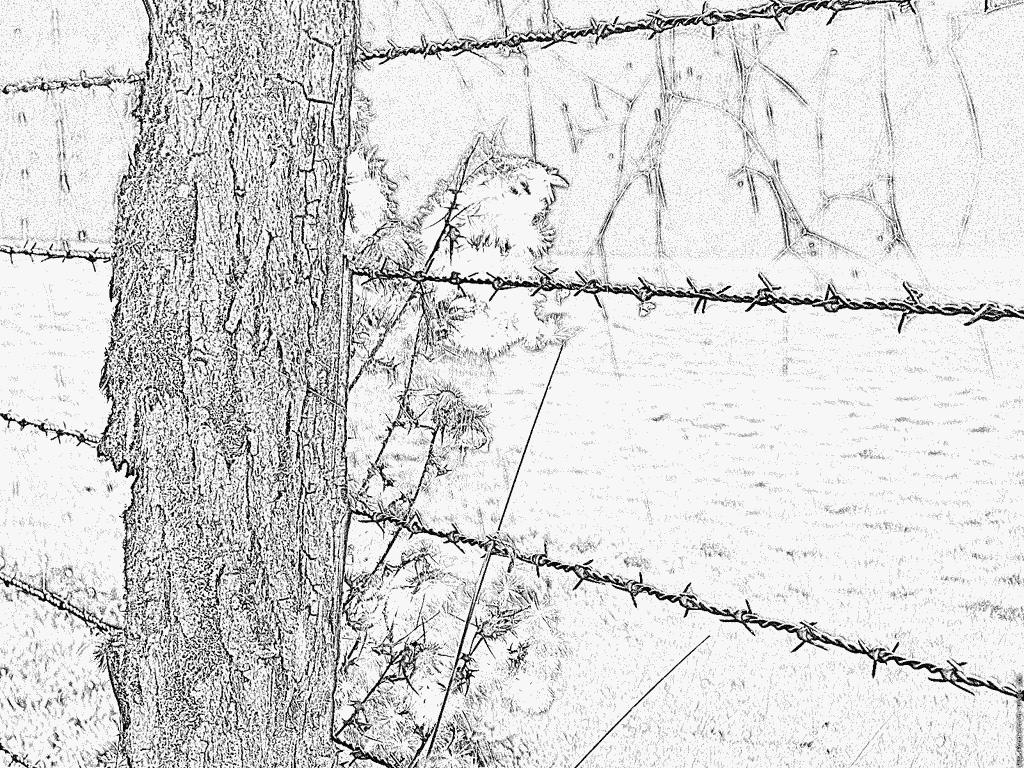 Barbed Wire coloring #2, Download drawings