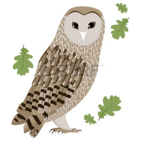 Barn Owl clipart #7, Download drawings