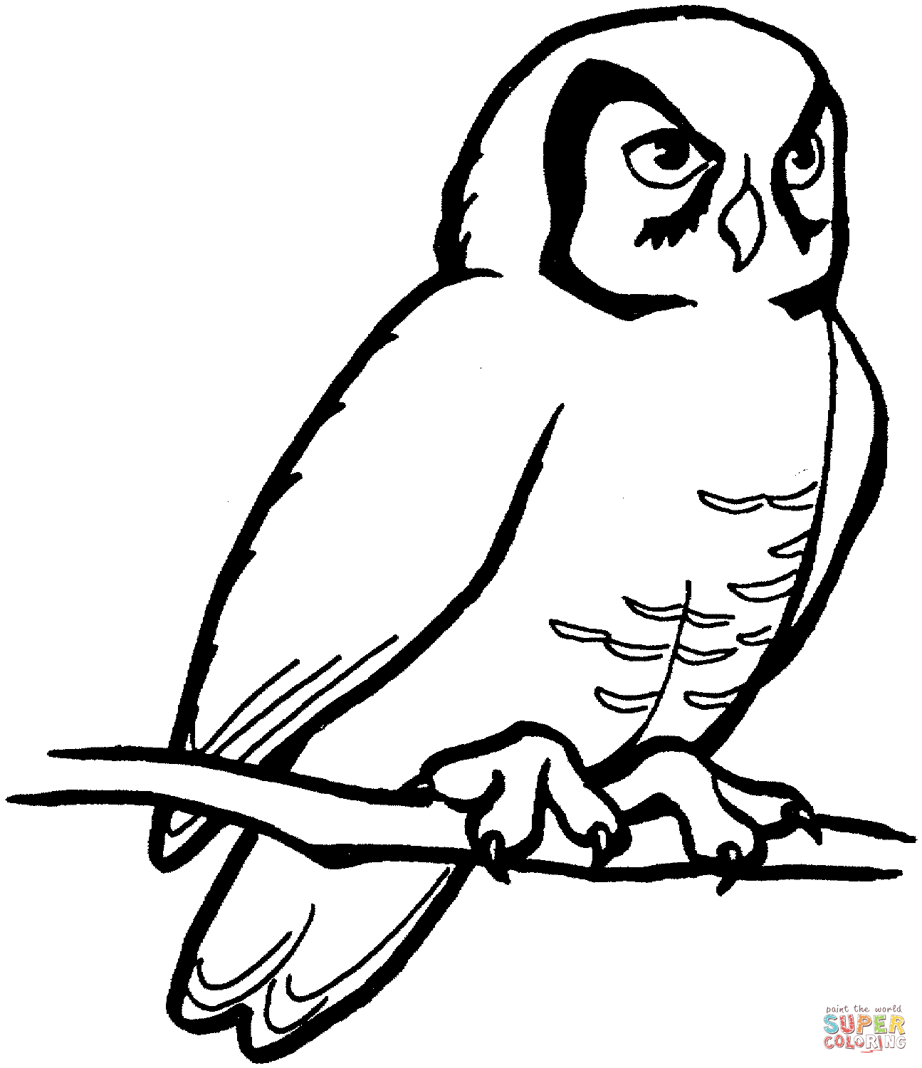 Barn Owl coloring #17, Download drawings