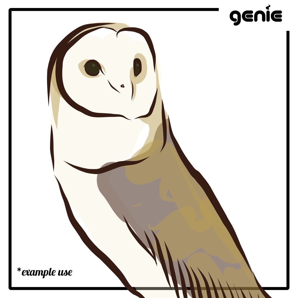 Barn Owl svg #2, Download drawings