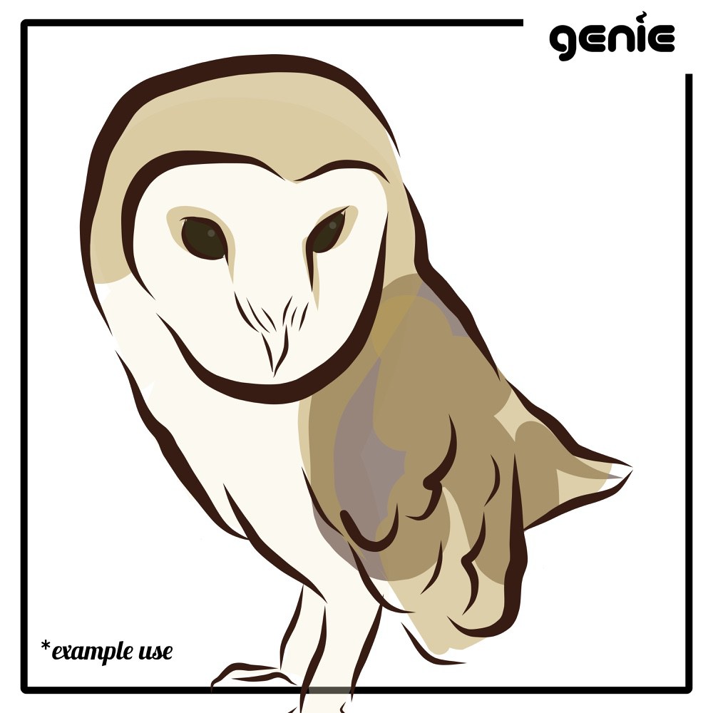 Barn Owl svg #3, Download drawings
