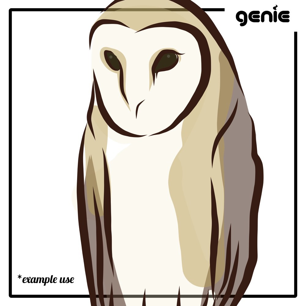 Barn Owl svg #19, Download drawings