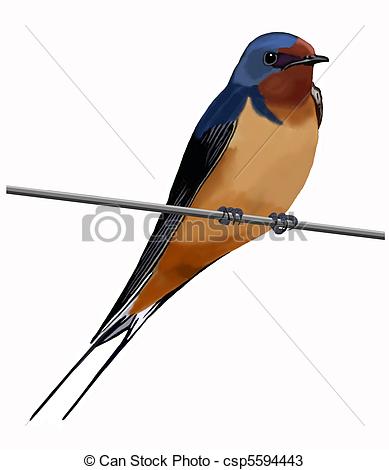 Swallow clipart #14, Download drawings