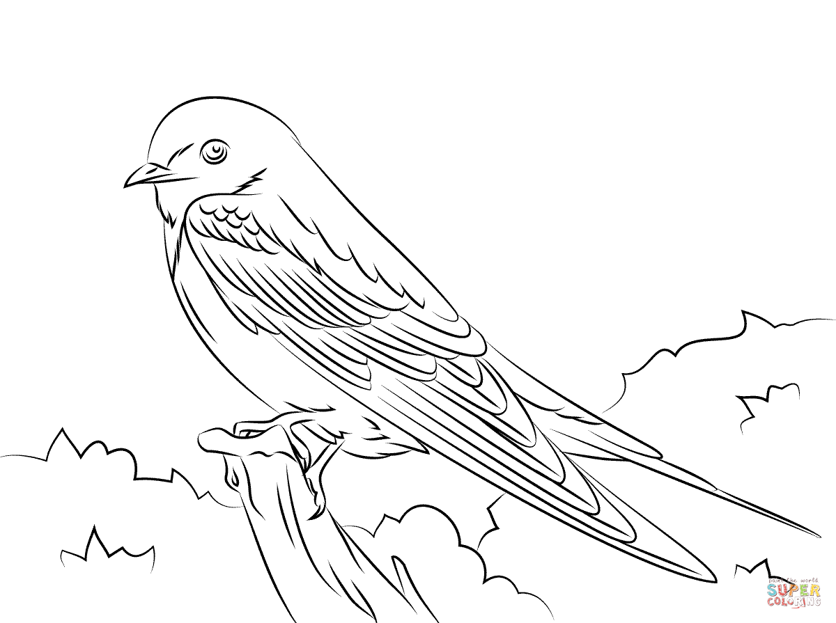 Barn Swallow coloring #17, Download drawings
